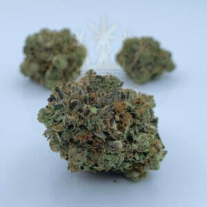 buy cheap weed in toronto - purple kush strain