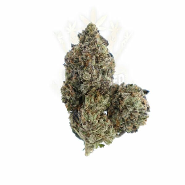 find pass out pink strain in toronto for delivery