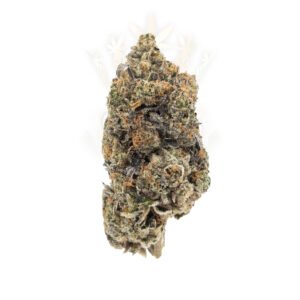 cannabis delivery toronto - chapo og