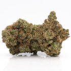 cannabis dispensary in toronto - delivery service - buy dutch pink strain