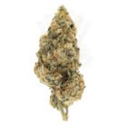 find weed delivery service in Toronto - skittlez strain