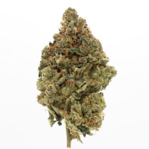 weed dispensary in toronto - delivery service - buy dutch pink strain