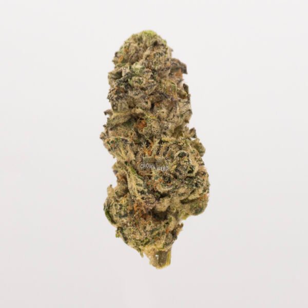 Find Pre 98 Bubba weed in Toronto same day delivery