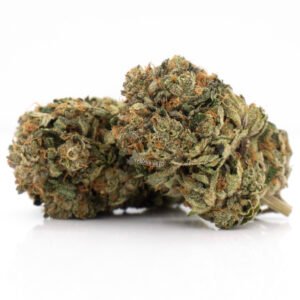 weed delivery in toronto black tuna strain