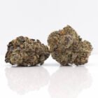 free weed delivery online dispensary toronto purple octane strain
