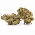 fruity pebbles weed strain for delivery in toronto