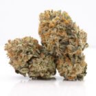 buy hybrid weed in Toronto - cookies n cream cannabis