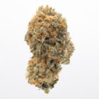 buy hybrid weed in Toronto - cookies n cream cannabis