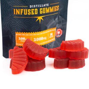 1000mg the gummies - northern connection