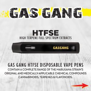 htfse 1 Gram Disposable Vape - Gas Gang