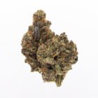 Buy Cannabis in Toronto - Platinum Rockstar cannabis strain