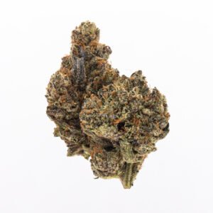 Buy Cannabis in Toronto - Platinum Rockstar cannabis strain