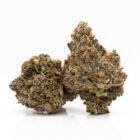 Buy Weed in Toronto - Platinum Rockstar cannabis strain