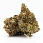 Weed Delivery in Toronto - Buy Tropicana Cookies Weed Strain