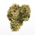 weed delivery in toronto - buy island pink strain