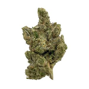 rockstar cannabis strain