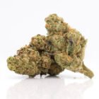 apple fritter weed delivery in toronto
