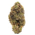 white death weed strain for delivery in Toronto