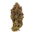 greasy pink cannabis weed strain - available in toronto