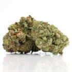 Garlic Runtz marijuana cannabis strain - available in Toronto