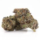 pink gasoline weed strain available in Toronto for same day weed delivery