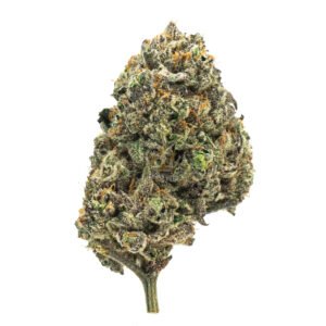 Bluenana cannabis weed strain